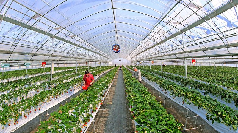 广州种植合作社注册，你了解多少？**