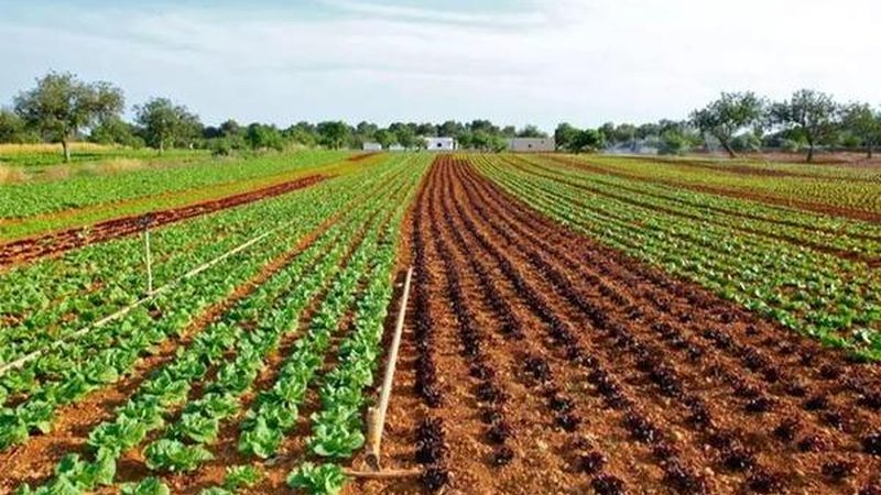 农产品批发供应链管理规范软件：提升效率，保障安全的利器