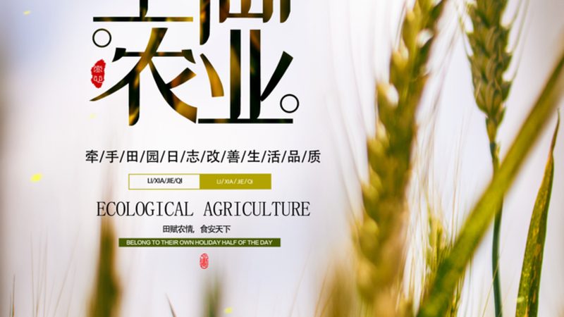 河南大棚蔬菜种植技术培训：提升亩产的关键**