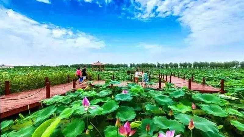 农业种植，这10个注意事项你不可不知