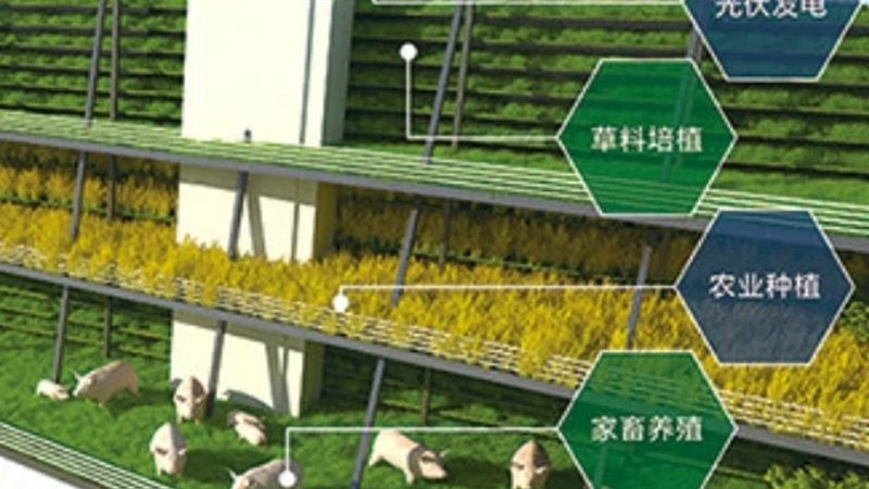 家庭农场休闲观光，如何选择合适模式？**